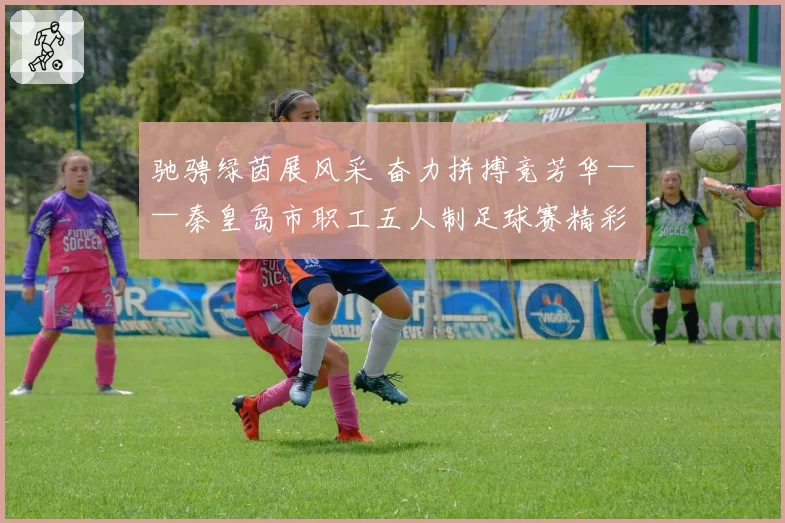 驰骋绿茵展风采 奋力拼搏竞芳华——秦皇岛市职工五人制足球赛精彩收官