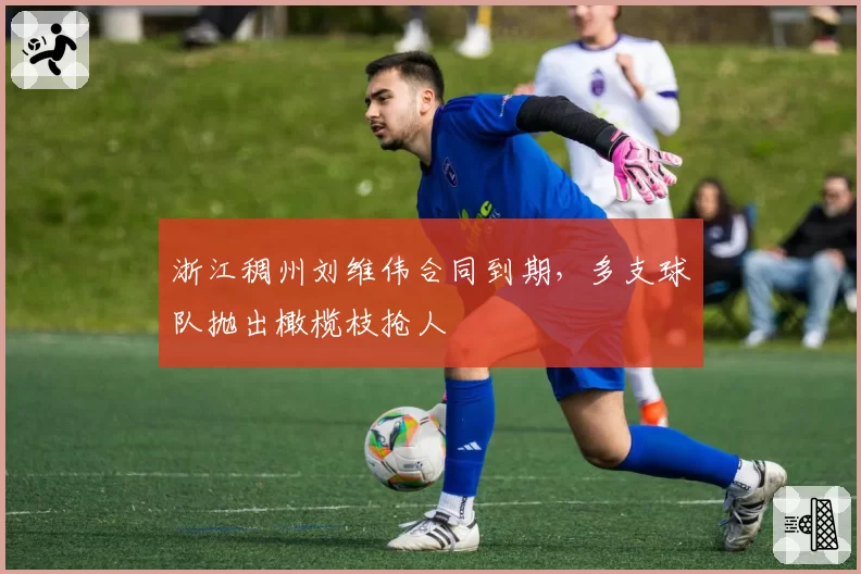 浙江稠州刘维伟合同到期，多支球队抛出橄榄枝抢人