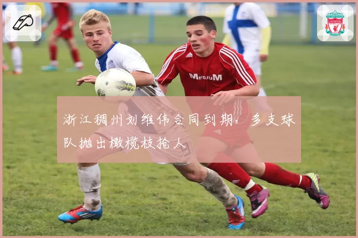 浙江稠州刘维伟合同到期，多支球队抛出橄榄枝抢人